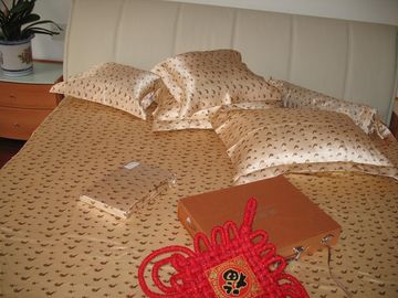 sistema del lecho y ropa de cama de seda de la seda